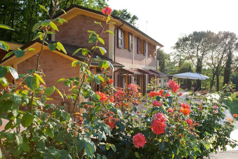 Agriturismo Di Paterno Sarzana Exteriér fotografie